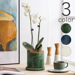 鉢 大型 陶器鉢 白 ブルー 鉢植え おしゃれ 観葉植物 プランター 丸形 室内 塊根 多肉植物 受け皿付き 穴あり