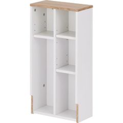 Item thumbnail for item d6491737-f1c6-43ef-a19f-59e1274e2ceb