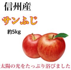 🍎一味ちがいます🍎　超お得❣️　信州産家庭用　陽当り　木熟　濃くりんご　　　🍎サンふじ🍎　約5Kg