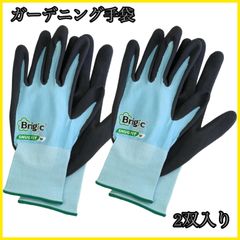 Item thumbnail for item eedcad6e-7f55-42fe-84cc-4c658d29c90d