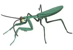 【中古】プラモデル ヤッターマン編 オオカマキリ ボヤッキーver. 「ヤッターマン」 自由研究シリーズ No.233 [171432]