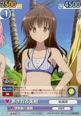 2026年最新】ヴィクトリースパーク 美柑の人気アイテム - メルカリ