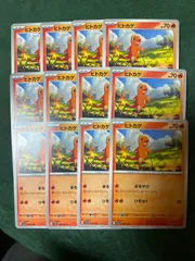 ヒトカゲ　12枚セット