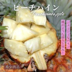 南国石垣島産 ピーチパイン実生苗 大玉1株 南国石垣島産 ピーチパイン実生苗 大玉1株 - メルカリ