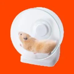 ハムスター・小動物用 クリアカラー 17cm 静音べアリング構造 ハーモニーホイール Harmony ジェックス GEX