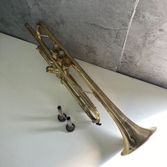 Item thumbnail for item ed8f15e7-aac1-48e5-9a19-1303c8c84d86