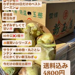 フキノトウ 北海道産 朝採り 5キロ - メルカリ