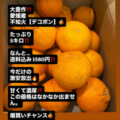 限定99箱🍊不知火🍊デコポン🍊愛媛柑橘🍊5キロ  入り