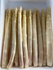 佐賀県産　ホワイトアスパラ　1kgバラ