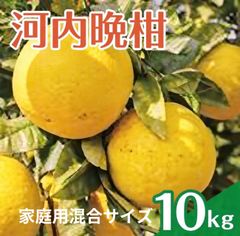 熊本産河内晩柑家庭用混合サイズ10kg