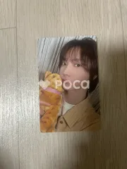 BOYNEXTDOOR ソンホ HAPPY SUNGHO DAY フォトカードセット