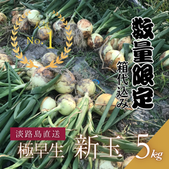 今だけ‼️極早生 新玉ねぎ🧅淡路島直送｜一年で10日だけ