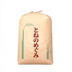 新米 令和7年度 埼玉県産 ひとめぼれ 玄米 30kg 1袋 未検査米 送料込