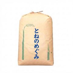 新米 令和7年度 埼玉県産 とねのめぐみ 玄米 30kg 1袋 未検査米 送料込
