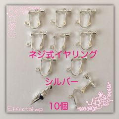 ஐ☘︎︎ネジ式イヤリングS