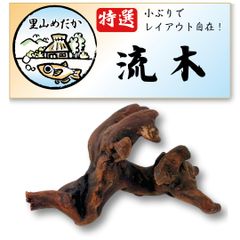 里山めだか 流木 6個セット 小さめサイズ アクアリウム 水槽用 装飾 [6]