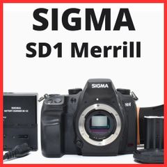 B24[7371A]66★新品級★ シグマ SIGMA SD1 Merrill ボディ