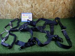 Item thumbnail for item b24c53df-4a2d-413f-a7ba-d7d879af47f8