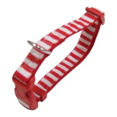 （まとめ）ストライプカラー #10 レッドホワイト〔×5セット〕 (犬用品/首輪)