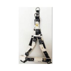 Item thumbnail for item 4a062379-f359-4545-8dff-49fe36f632df