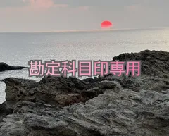 専用です。minami様