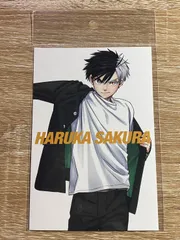 WIND BREAKER 展 ウィンドブレーカー ポストカード 桜遥