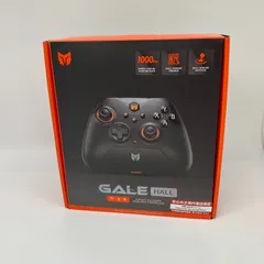 BIGBIG WON Gale Hall コントローラーセット 【動作良好】　Switch