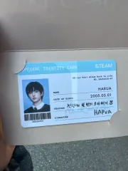 &TEAM HARUA ハルア Back to Life POPUP 購入特典