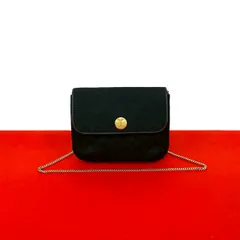 極 美品 希少品 CELINE セリーヌ トリオンフ ロゴ 金具 キャンバス レザー 本革 チェーン ショルダーバッグ ポシェット ブラック 73744