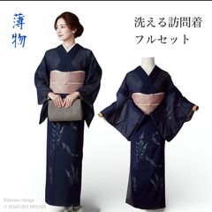 【薄物 絽】訪問着 フルセット 4点 洗える着物 夏着物 未着用 イA12