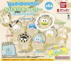 未開封 サンリオ ガチャ > けろっぴ 굴 めじるし