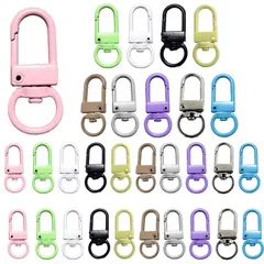 Alpha Depot ナスカン パーツ 30個セット カラフル金具 キーホルダー・ハンドメイド用素材に最適 