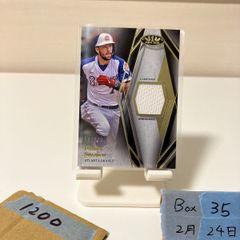 海外Lサイズ】TOP14 スタッド・トゥールーザン 24/25 ホームジャージ