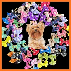 【新品】 犬 ヘアゴム 48個セット 犬 リボン ゴム ヘアバンド 可愛い ドット柄 猫 犬用 ヘアアクセサリー 蝶結び ペット 髪飾り 髪留め 混色 (ドット柄) 0