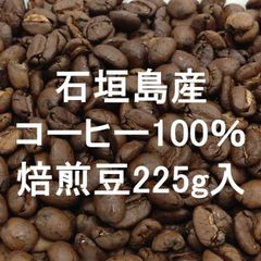 KuKuKuKuKu様専用、2025年産 黒松種子 5500個以上 - メルカリ