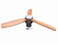 Item thumbnail for item 2ad2bfe7-c731-4be6-964a-95e6d75714ae