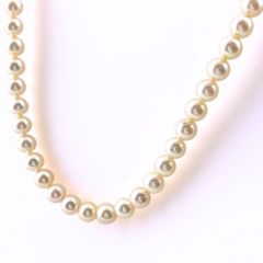 タサキ TASAKI パール デザインネックレス YG イエローゴールド 真珠 ネックレス K18 パール レディース 【中古】