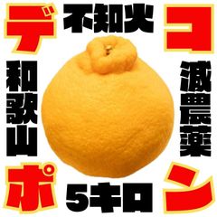 和歌山産  不知火 訳あり でこぽん 減農薬栽培 ミックス 5kg 甘い