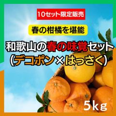 和歌山県産 不知火 八朔 セット 5kg前後 甘い×さっぱり 食べ比べ 家庭用 柑橘