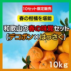和歌山県産 不知火 八朔 セット 10kg前後 甘い×さっぱり 食べ比べ 家庭用 柑橘