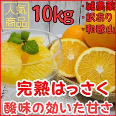 10kg 和歌山産 完熟はっさく  訳あり 八朔 減農薬栽培 ミックス 5kg