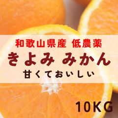 和歌山県産 清見みかん10kg 減農薬 採れたて 農家直送【送料無料】