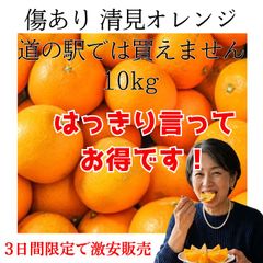 激安！和歌山産 10kg 清見みかん きよみオレンジ 甘い 訳あり 送料無料 