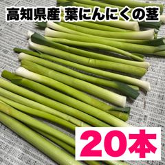 【農家直送】茎 高知県特産‼️葉ニンニク 茎 20本 即購入OK z