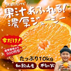 激安！和歌山産 甘い 訳あり 不知火 デコ 10kg 送料無料 でこぽん