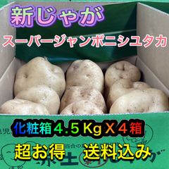 新じゃが　スーパージャンボニシユタカ　１８kg 　超お徳用