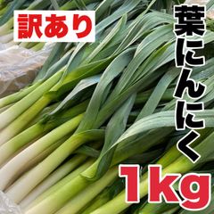 訳あり品 【農家直送】高知県特産‼️葉ニンニク 1kg 即購入OK bkg