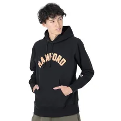 新品 パーカー 長袖 11.5oz COTTON USA グラフィックプリント リバースウィーブ(R)フーデッドスウェットシャツ REVERSE WEAVE(R) C3-Y114-090-L