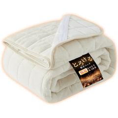 Item thumbnail for item 2d1d4142-17fd-44aa-ba99-afcb7190e8dd