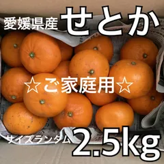 ☆ご家庭用☆ 愛媛県産 せとか 箱込み　2.5kg